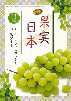 ʎ{ 2020N@11