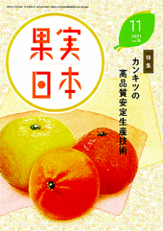 ʎ{ 2021N@11