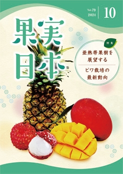 ʎ{ 2024N@10